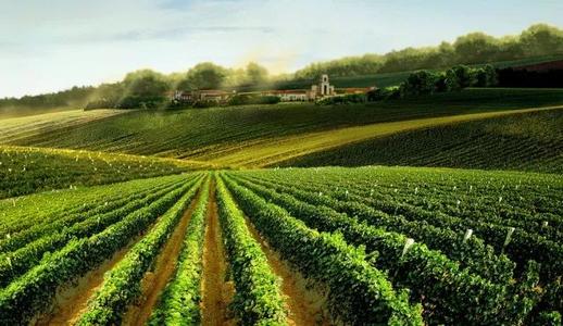 法国AOC品质葡萄酒代表的是品质还是价钱?