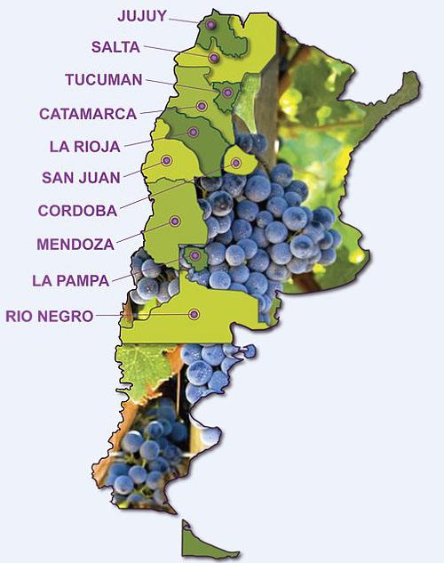 阿根廷特产：阿根廷葡萄酒的葡萄品种有哪些？